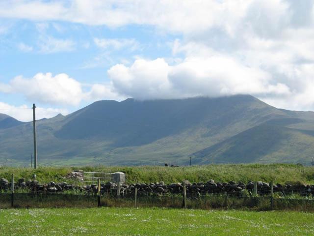Coill An Rois B&B Ballydavid Eksteriør billede