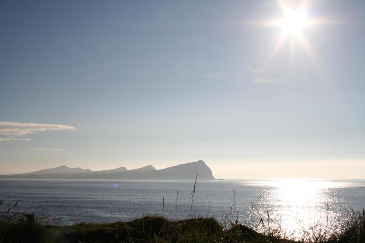 Coill An Rois B&B Ballydavid Eksteriør billede